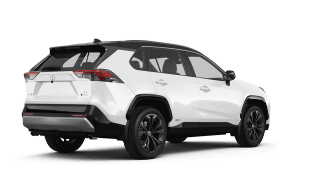 Toyota RAV4 Hybrid - Back view Toyota RAV4 Hybrid - Back view